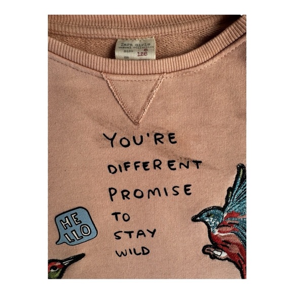 Zara Kids Cream Graphic Sweatshirt with Birds - Picture 3 of 4